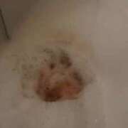 ヒメ日記 2025/08/04 17:24 投稿 みさ♡ロリ系Fカップ巨乳美少女♡ 即生専門店ゴッドパイ