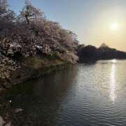 ヒメ日記 2025/04/07 21:54 投稿 ひな♡巨乳美女♡ 即生専門店ゴッドパイ