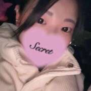 ヒメ日記 2025/12/07 23:44 投稿 ひな♡巨乳美女♡ 即生専門店ゴッドパイ