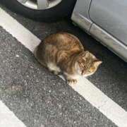 ヒメ日記 2025/12/08 15:15 投稿 あすか♡小悪魔天使♡ 即生専門店ゴッドパイ