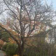 ヒメ日記 2025/12/10 17:04 投稿 あすか♡小悪魔天使♡ 即生専門店ゴッドパイ