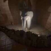 ヒメ日記 2025/12/20 05:17 投稿 あすか♡小悪魔天使♡ 即生専門店ゴッドパイ