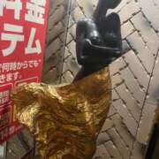 ヒメ日記 2026/02/12 17:14 投稿 あすか♡小悪魔天使♡ 即生専門店ゴッドパイ