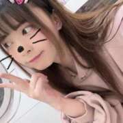 ヒメ日記 2026/05/14 14:44 投稿 あすか♡小悪魔天使♡ 即生専門店ゴッドパイ