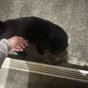 ヒメ日記 2026/07/29 19:04 投稿 あすか♡小悪魔天使♡ 即生専門店ゴッドパイ