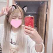 ヒメ日記 2025/05/04 00:40 投稿 せいか♡おてんば娘♡ 即生専門店ゴッドパイ