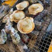 ヒメ日記 2025/11/19 22:27 投稿 せいか♡おてんば娘♡ 即生専門店ゴッドパイ