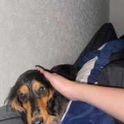 ヒメ日記 2026/01/15 18:05 投稿 せいか♡おてんば娘♡ 即生専門店ゴッドパイ