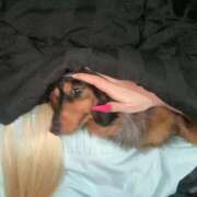 ヒメ日記 2026/02/26 12:56 投稿 せいか♡おてんば娘♡ 即生専門店ゴッドパイ