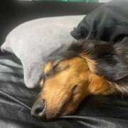 ヒメ日記 2026/03/04 16:44 投稿 せいか♡おてんば娘♡ 即生専門店ゴッドパイ