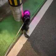 ヒメ日記 2026/04/08 21:04 投稿 せいか♡おてんば娘♡ 即生専門店ゴッドパイ