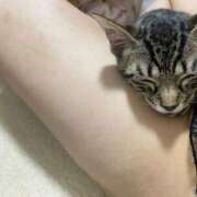 ヒメ日記 2025/07/28 21:44 投稿 らん♡Fカップ美女♡ 即生専門店ゴッドパイ