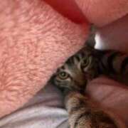 ヒメ日記 2025/08/23 20:20 投稿 らん♡Fカップ美女♡ 即生専門店ゴッドパイ