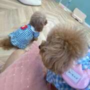 ヒメ日記 2025/09/25 18:24 投稿 らん♡Fカップ美女♡ 即生専門店ゴッドパイ