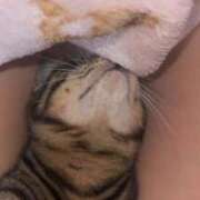 ヒメ日記 2025/11/04 16:34 投稿 らん♡Fカップ美女♡ 即生専門店ゴッドパイ