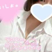 ヒメ日記 2024/06/20 00:20 投稿 ふゆ♡癒し系美女♡ 即生専門店　ゴッドパイ