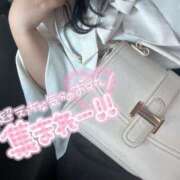 ヒメ日記 2025/07/03 00:04 投稿 ふゆ♡癒し系美女♡ 即生専門店ゴッドパイ