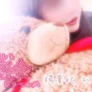 ヒメ日記 2025/05/14 07:45 投稿 れい 鹿児島人妻 楊貴妃