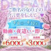 ヒメ日記 2024/04/10 13:39 投稿 しおん ウルトラドリーム