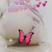 ヒメ日記 2025/04/16 08:05 投稿 さいか 小岩人妻花壇