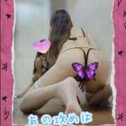 ヒメ日記 2025/06/03 23:35 投稿 さいか 小岩人妻花壇