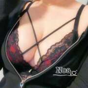 ヒメ日記 2025/08/14 10:58 投稿 のあ [優良人妻店]セレブスタイル（山口～防府～萩）