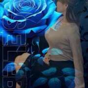 ヒメ日記 2025/08/30 13:57 投稿 のあ [優良人妻店]セレブスタイル（山口～防府～萩）