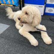 ヒメ日記 2026/02/26 14:04 投稿 ふうか マダムバンク 富山本店