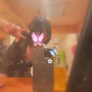 ヒメ日記 2025/02/05 09:30 投稿 ここ 激安ドットコム