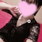 ヒメ日記 2025/02/08 11:45 投稿 ここ 激安ドットコム