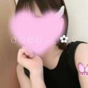 ヒメ日記 2025/02/09 11:48 投稿 ここ 激安ドットコム