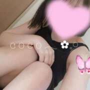 ヒメ日記 2025/02/12 11:44 投稿 ここ 激安ドットコム