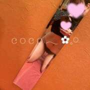 ヒメ日記 2025/09/27 17:36 投稿 ここ 激安ドットコム