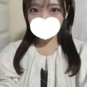 ヒメ日記 2024/12/20 16:33 投稿 海堂ぷりん JKリフレ東京 秋葉原本店