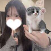 ヒメ日記 2026/03/05 15:43 投稿 海堂ぷりん JKリフレ東京 秋葉原本店