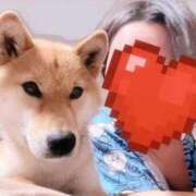 ヒメ日記 2025/05/13 23:51 投稿 いちか 木更津人妻花壇