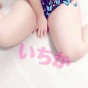 ヒメ日記 2025/08/30 13:20 投稿 いちか 木更津人妻花壇