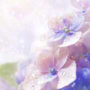 ヒメ日記 2025/08/08 16:57 投稿 ありす ファーストレディ(博多)