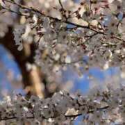 ヒメ日記 2025/04/05 09:27 投稿 まなつ 土浦ハッピーマットパラダイス