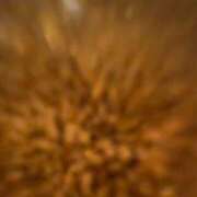 ヒメ日記 2025/05/16 20:17 投稿 まなつ 土浦ハッピーマットパラダイス