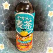 ヒメ日記 2025/07/13 10:08 投稿 まなつ 土浦ハッピーマットパラダイス