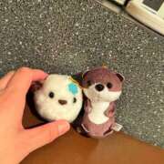 ヒメ日記 2025/11/30 08:57 投稿 まなつ 土浦ハッピーマットパラダイス