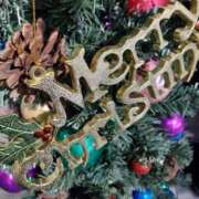 ヒメ日記 2024/12/20 11:14 投稿 まき 尼妻（あまづま）