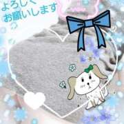 ヒメ日記 2024/12/26 12:57 投稿 まき 尼妻（あまづま）