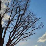 ヒメ日記 2024/12/31 19:55 投稿 まき 尼妻（あまづま）