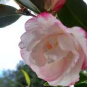 ヒメ日記 2025/02/07 09:36 投稿 まき 尼妻（あまづま）