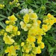 ヒメ日記 2025/02/18 09:30 投稿 まき 尼妻（あまづま）