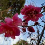 ヒメ日記 2025/02/21 11:01 投稿 まき 尼妻（あまづま）