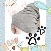 ヒメ日記 2025/02/27 10:42 投稿 まき 尼妻（あまづま）