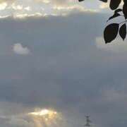 ヒメ日記 2025/03/19 18:32 投稿 まき 尼妻（あまづま）